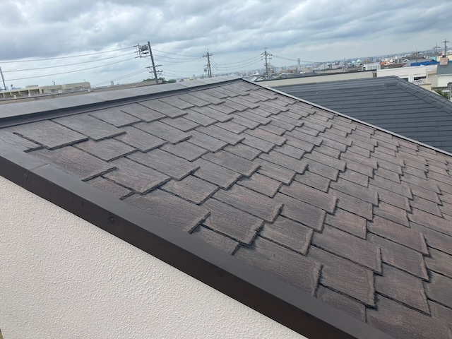 屋根の様子・全体